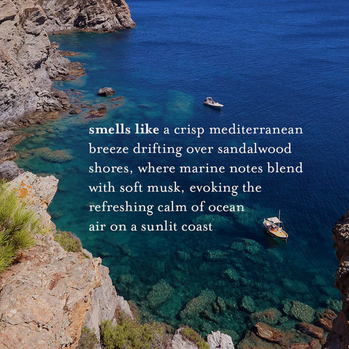 A LA MAISON Fresh Sea Salt Liquid Hand Soap 16.9 FL OZ