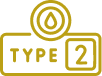 type 2