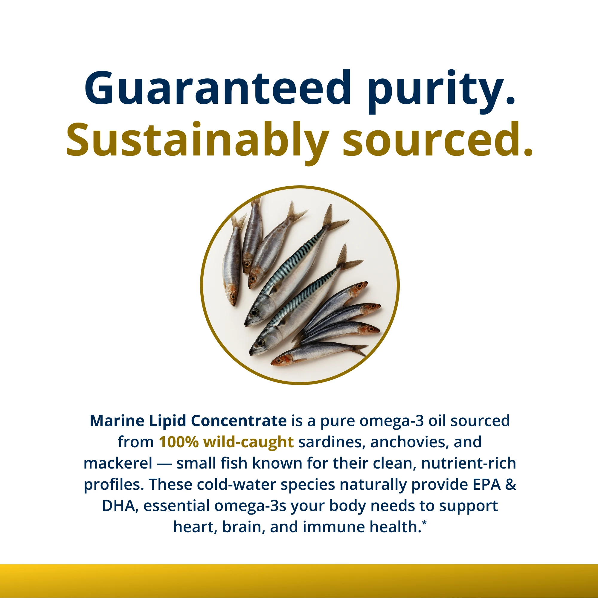 OmegaGenics® Fish Oil EPA-DHA 1000 mg - Image 7